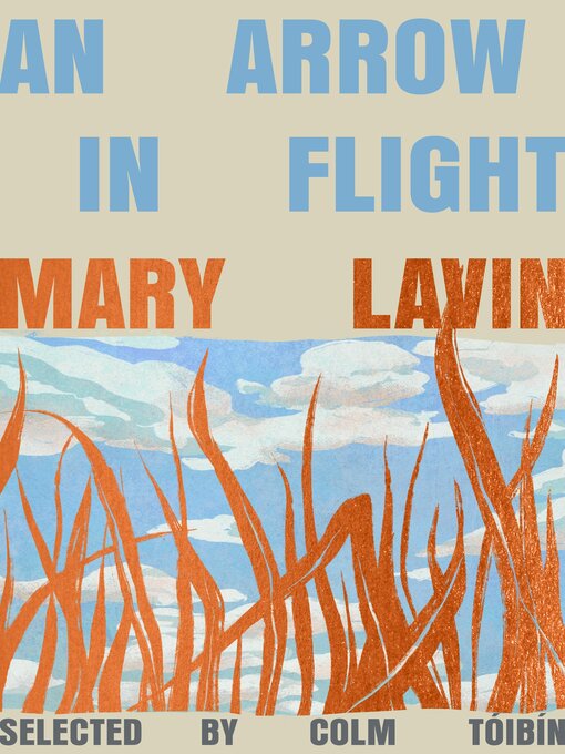 Cover image for An Arrow in Flight